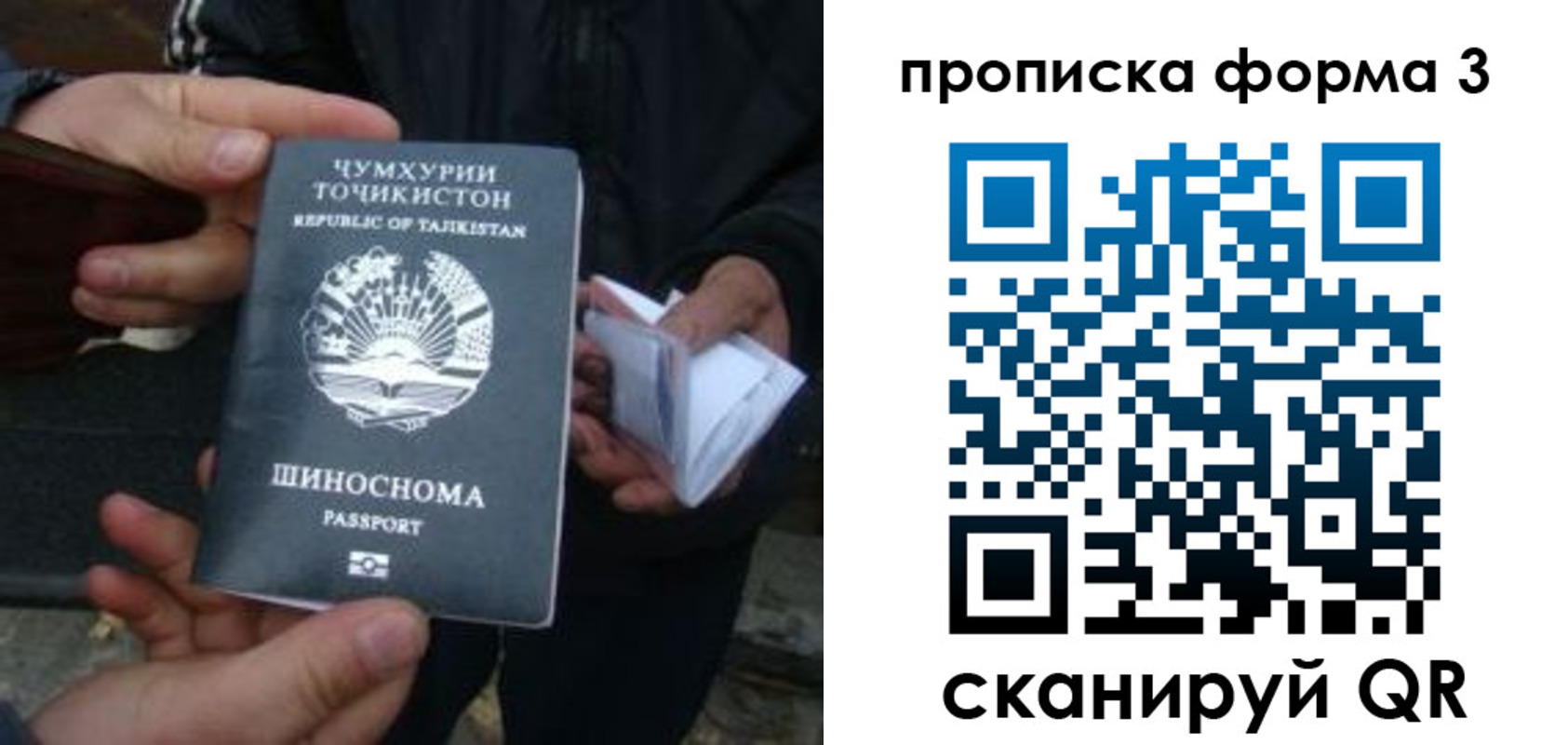 прописка 2025 в Волжском